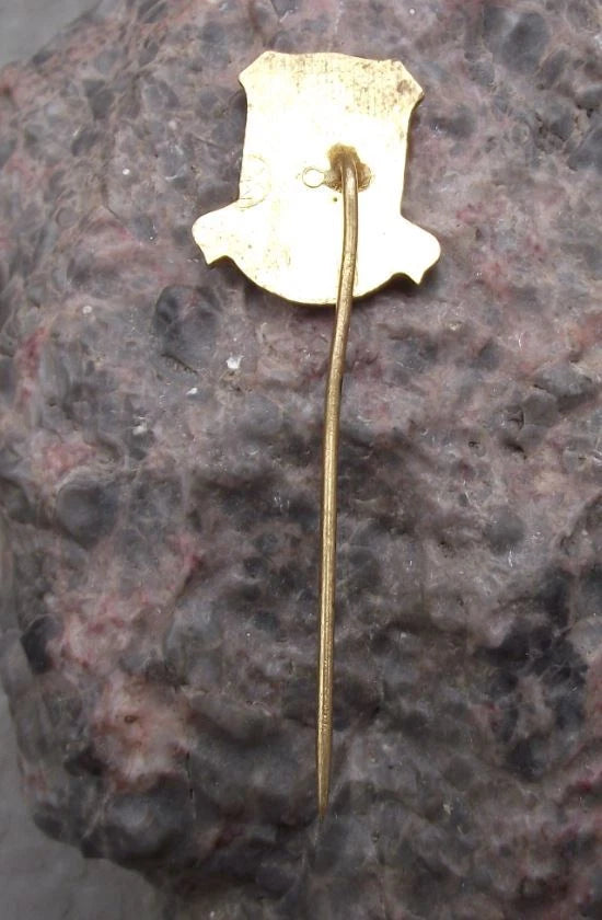 Vintage Týniště nad Orlicí Shield & Tree Heraldic Crest Coat of Arms Pin Badge
