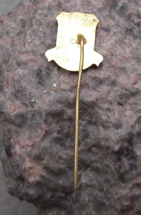 Vintage Týniště nad Orlicí Shield & Tree Heraldic Crest Coat of Arms Pin Badge