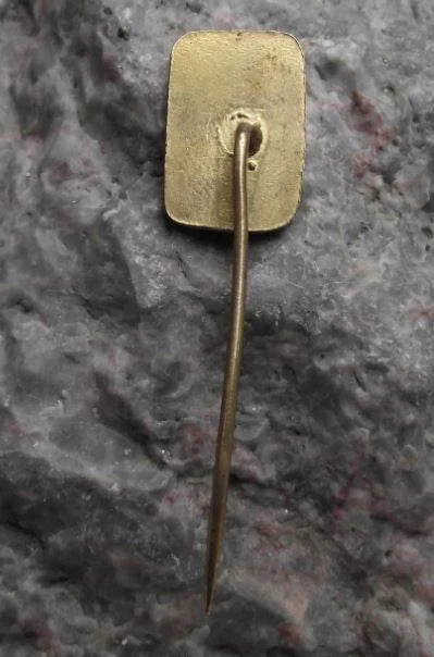 Vintage Sychrov Neo Gothic Chateau Baroque Castle Palace Tourist Pin Badge