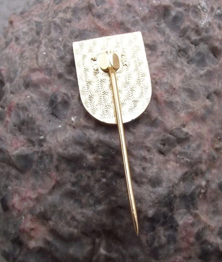 Vintage Slavonice Coat of Arms Heraldic Crest Portcullis Pin Badge