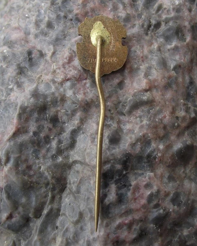 Vintage Susice Sušice City Gate Heraldic Crest Official Coat of Arms Pin Badge