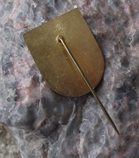 Vintage Slovenská Ľupča Slovenska Lupca Eagle Falcon Heraldic Crest Pin Badge