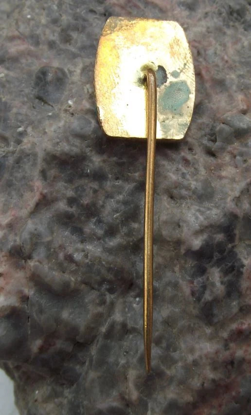 Vintage Střekov Schreckenstein Castle River Elbe Goethe Wagner Pin Badge