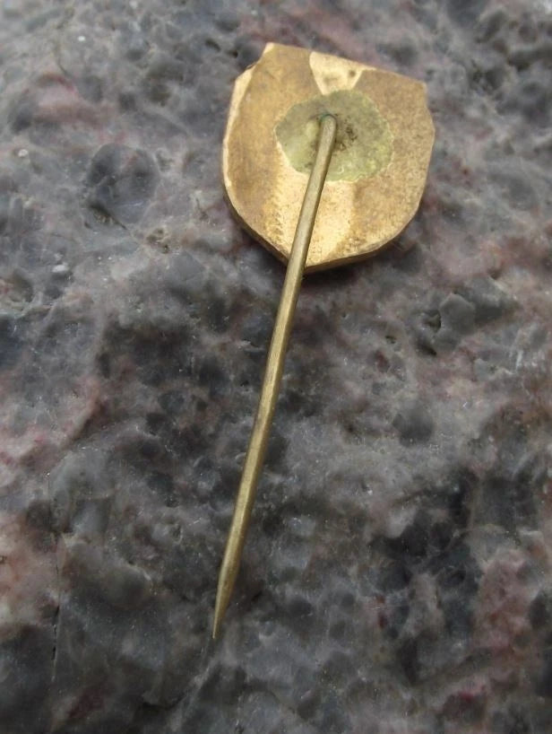 Vintage Šumperk Czechoslovakia Coat of Arms Heraldic Crest Pin Badge