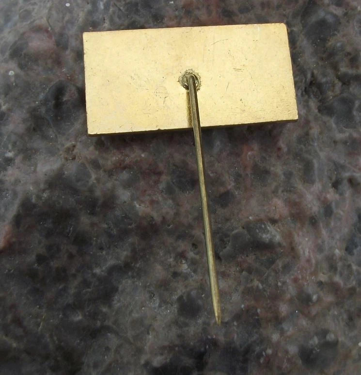 Vintage Špindlerova Bouda Krkonoše Park Czech Mountain Hikers Cabin Pin Badge