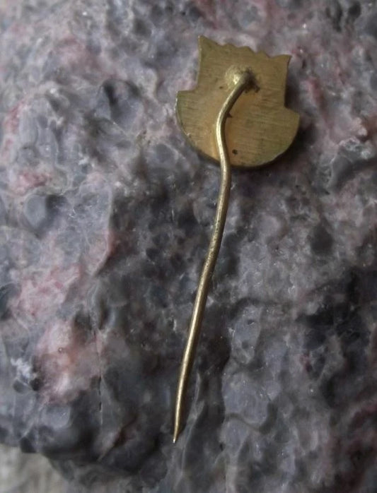 Vintage Špindlerův Mlýn Mountain Czech Ski Resort Coat of Arms Pin Badge