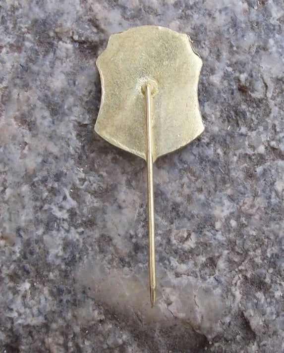 Vintage SZ Rájec nad Svitavou Castle State Palace Coat of Arms Pin Badge