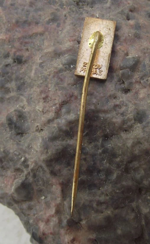 Vintage Small Cheb Eger Gothic Historic Buildings Town Centre Pin Badge