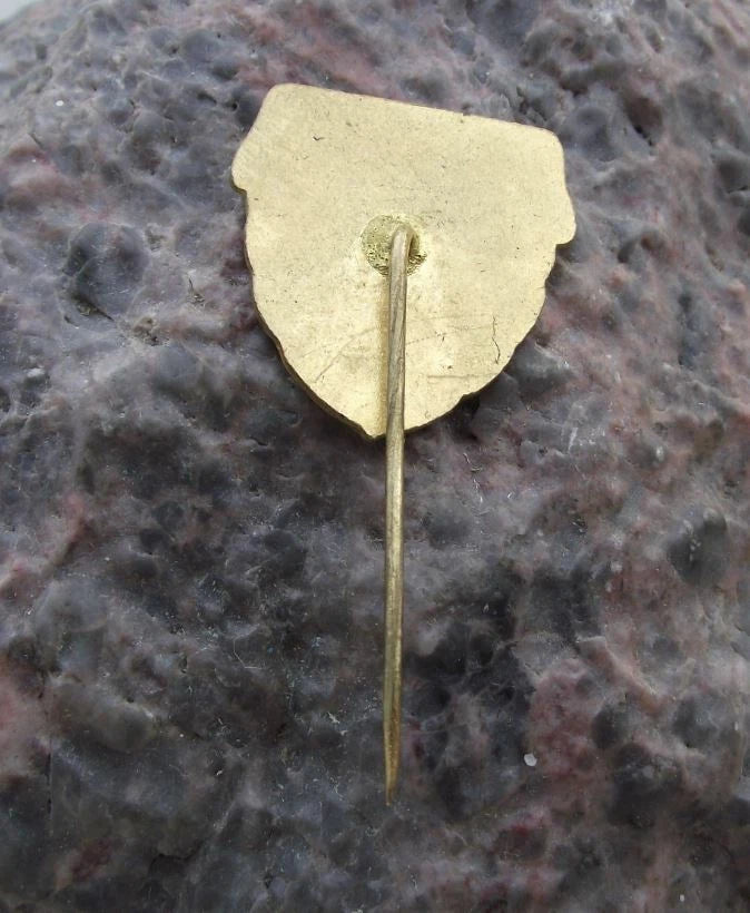 1975 Česká Skalice 400th Anniversary Heraldic Star Crest Coat Arms Pin Badge