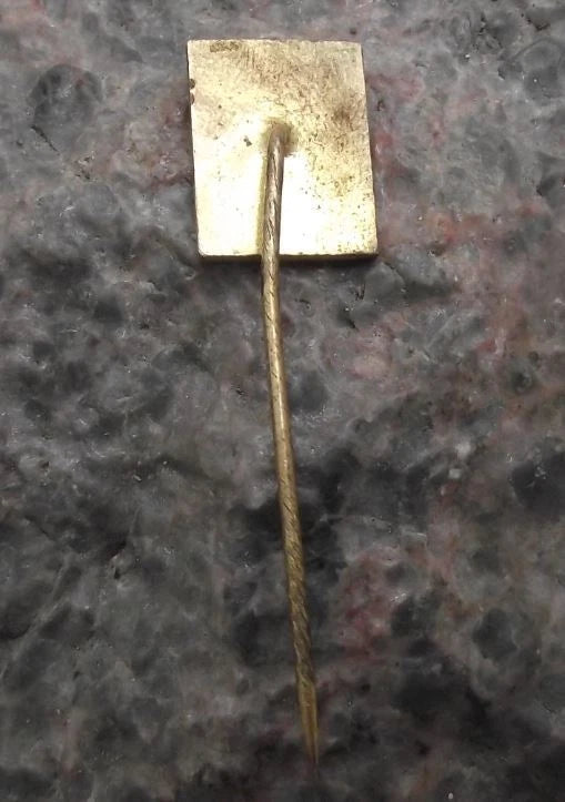 Vintage Česká Skalice Museum of Bozena Nemcova Czech Writer Pin Badge