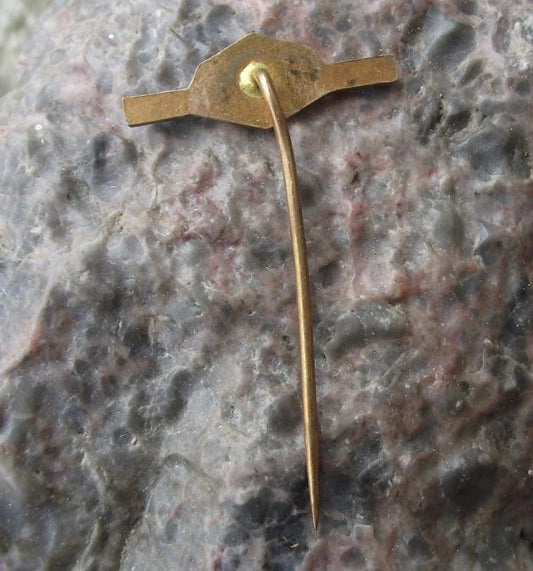 Vintage Česká Skalice Museum of Czech Writer Božena Němcová Pin Badge