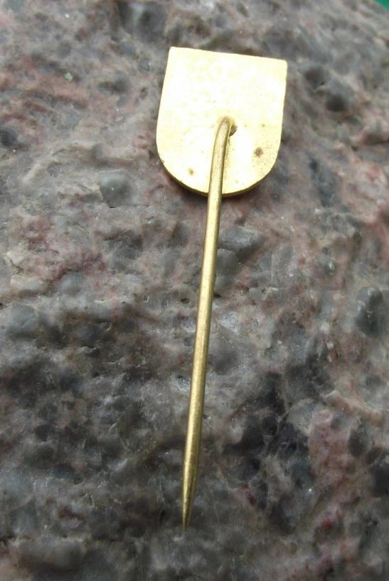 Vintage Choceň Czech Town Coat of Arms Holy Grail Pin Badge