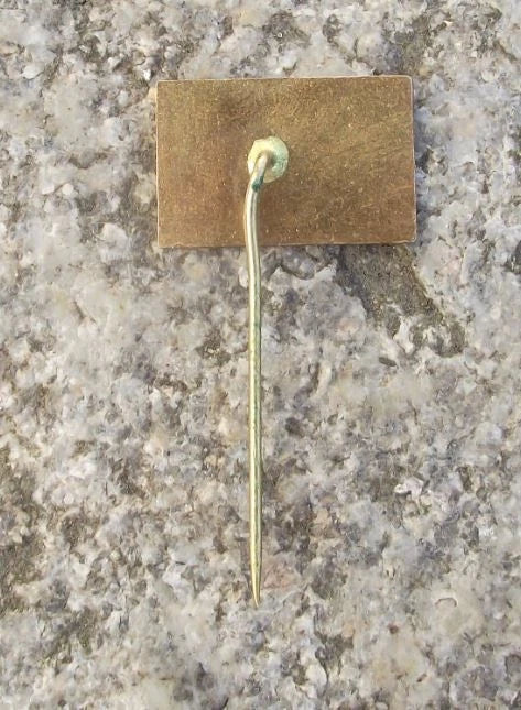 Vintage Františkovy Lázně Pavilion Luisina Natural Spring Source Pin Badge