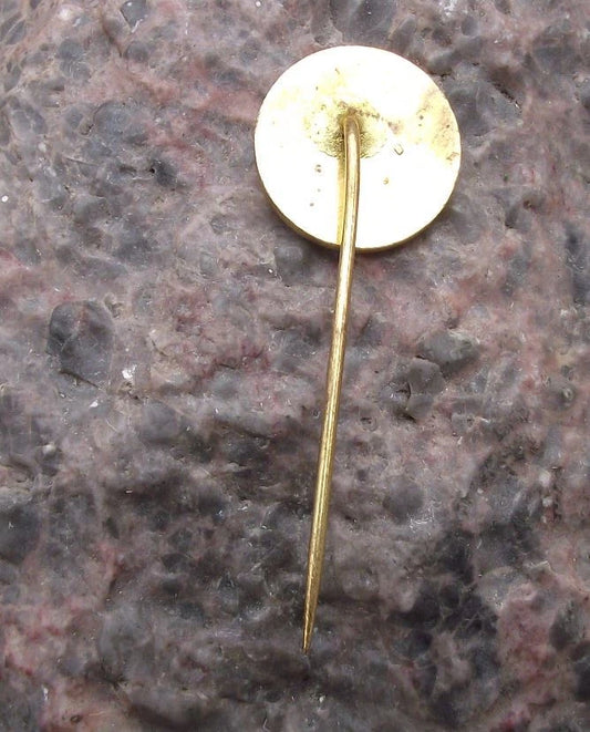 Vintage Františkovy Lázně Natural Spring Water Spa Resort Heart Health Pin Badge