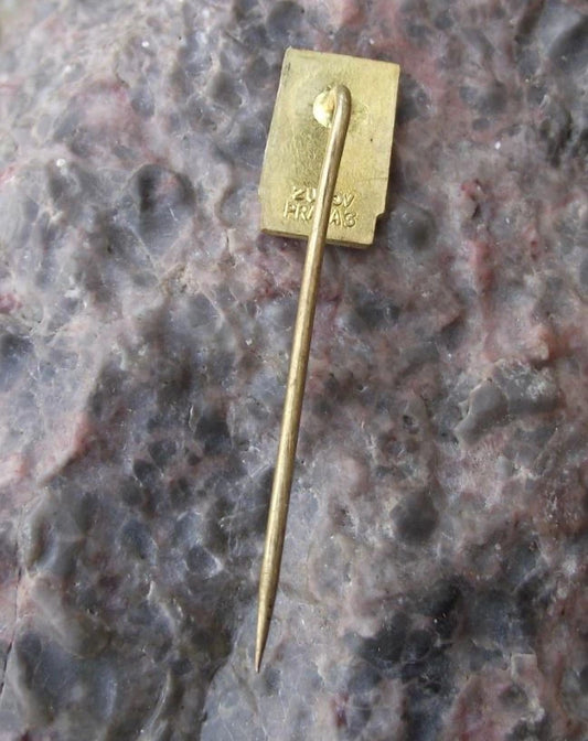 Vintage Františkovy Lázně Natural Spring Spa Resort Shining Sun Pin Badge
