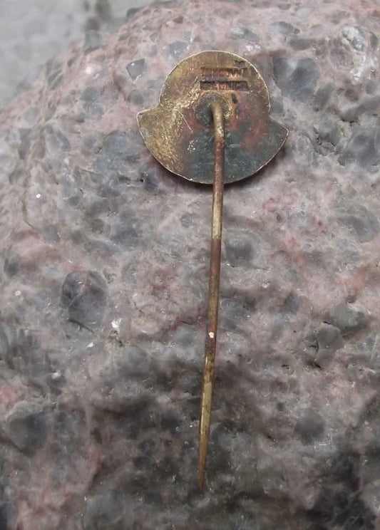 Vintage Františkovy Lázně Natural Spring Spa Resort Protective Shield Pin Badge