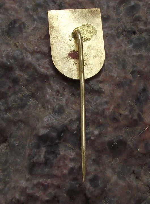 Vintage Děčín Czech Heraldic Crest Official Coat of Arms Lion Pin Badge