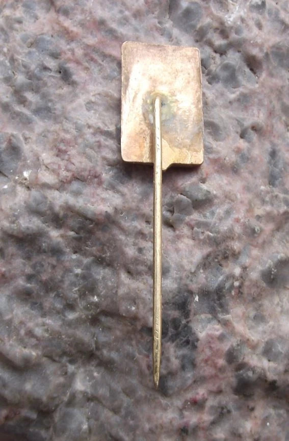 Vintage Frýdlant Czech Heraldic Crest Official Coat of Arms Pin Badge