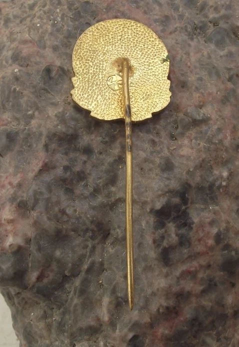 1972 Czech Rail System CSD Rusnove Train Depot Centenary Slovakia Pin Badge