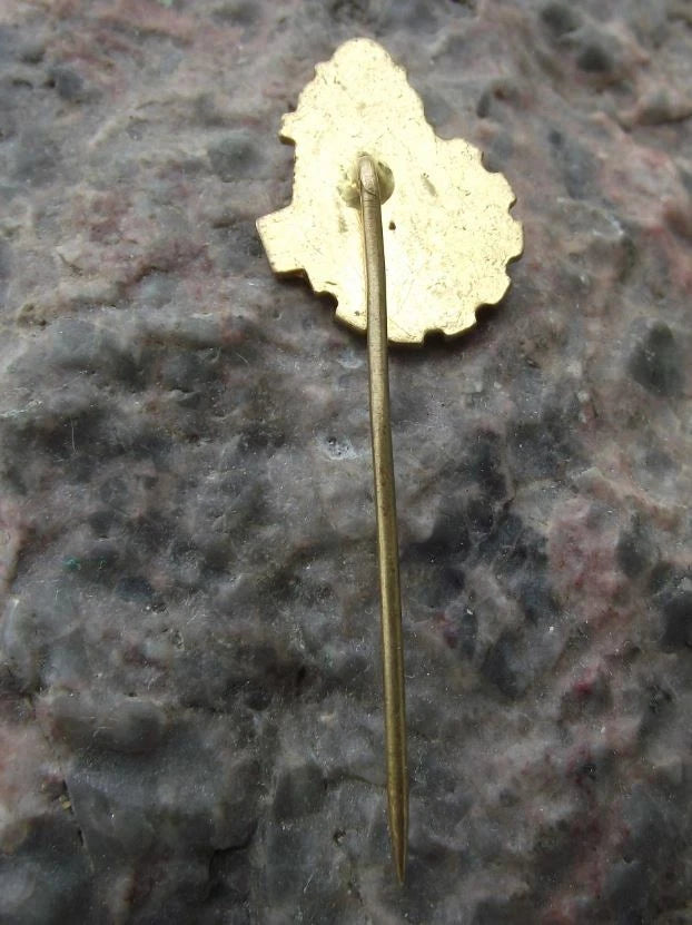 Vintage Czech Metal Workers Iron Industry Trade Union ROH Members Pin Badge