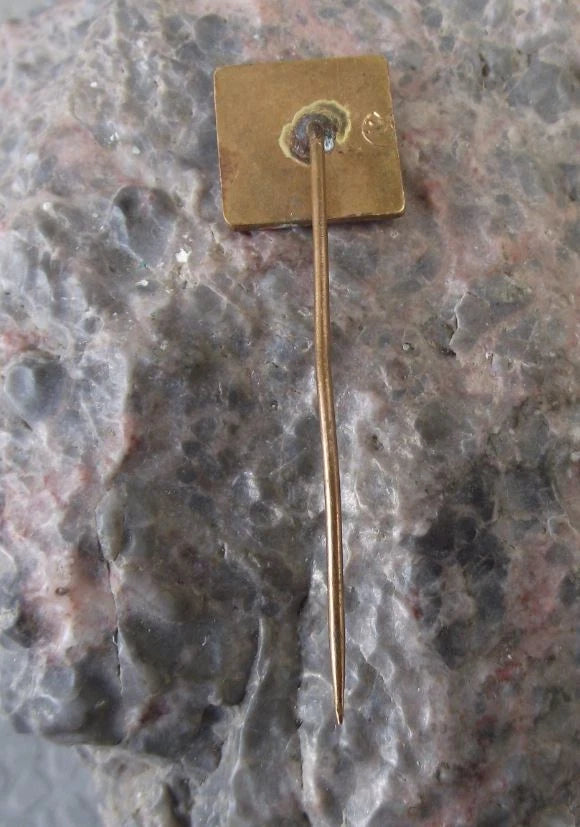 Vintage Trencianske Teplice Thermal Spa Town Slovakia Souvenir Pin Badge