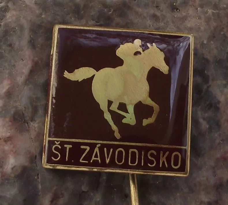 Vintage Jockey Standing Horse Racing Rider State Race Course Pin Badge - Badgecrazy