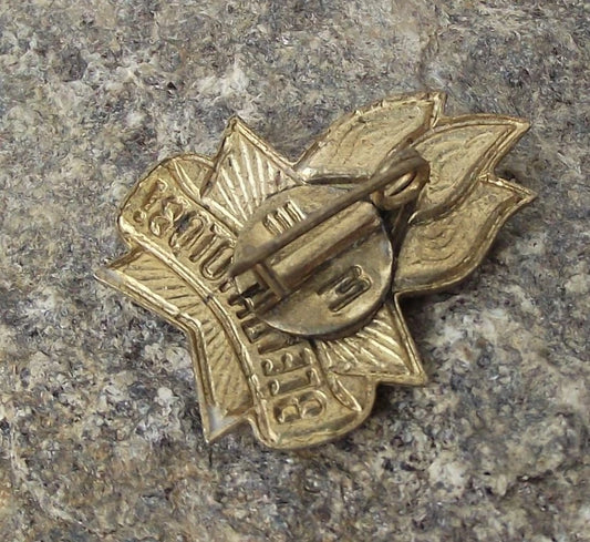 .Always Ready Slogan Soviet Young Pioneer Youth Group Red Star Flames Pin Badge