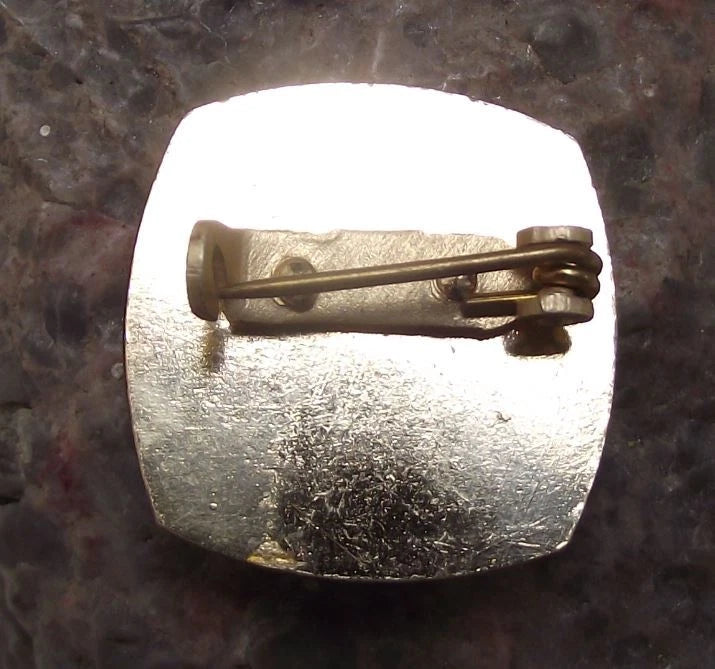 Vintage Czech Pioneer Youth Group Young Musician Artist Stage 2 Award Pin Badge