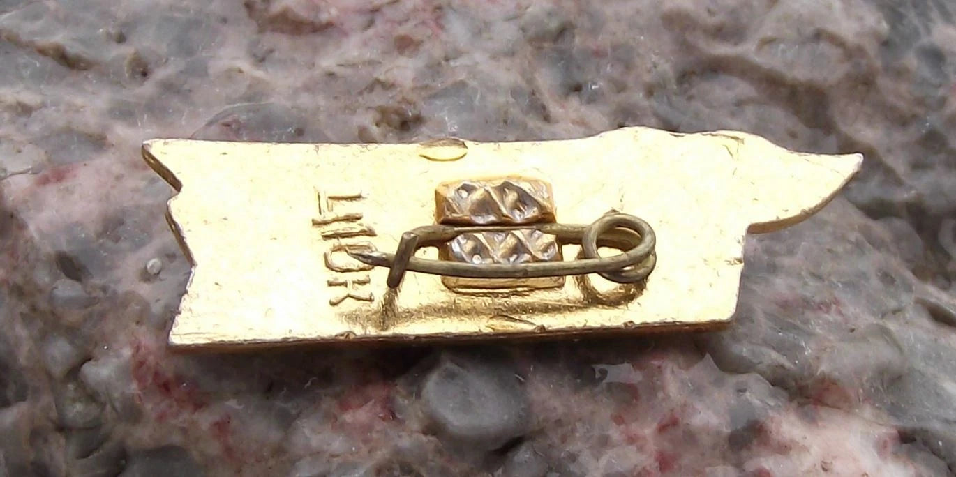 Vintage Voskhod Hydrofoil Ukraine Richflot River Fleet Boat Ship Pin Badge
