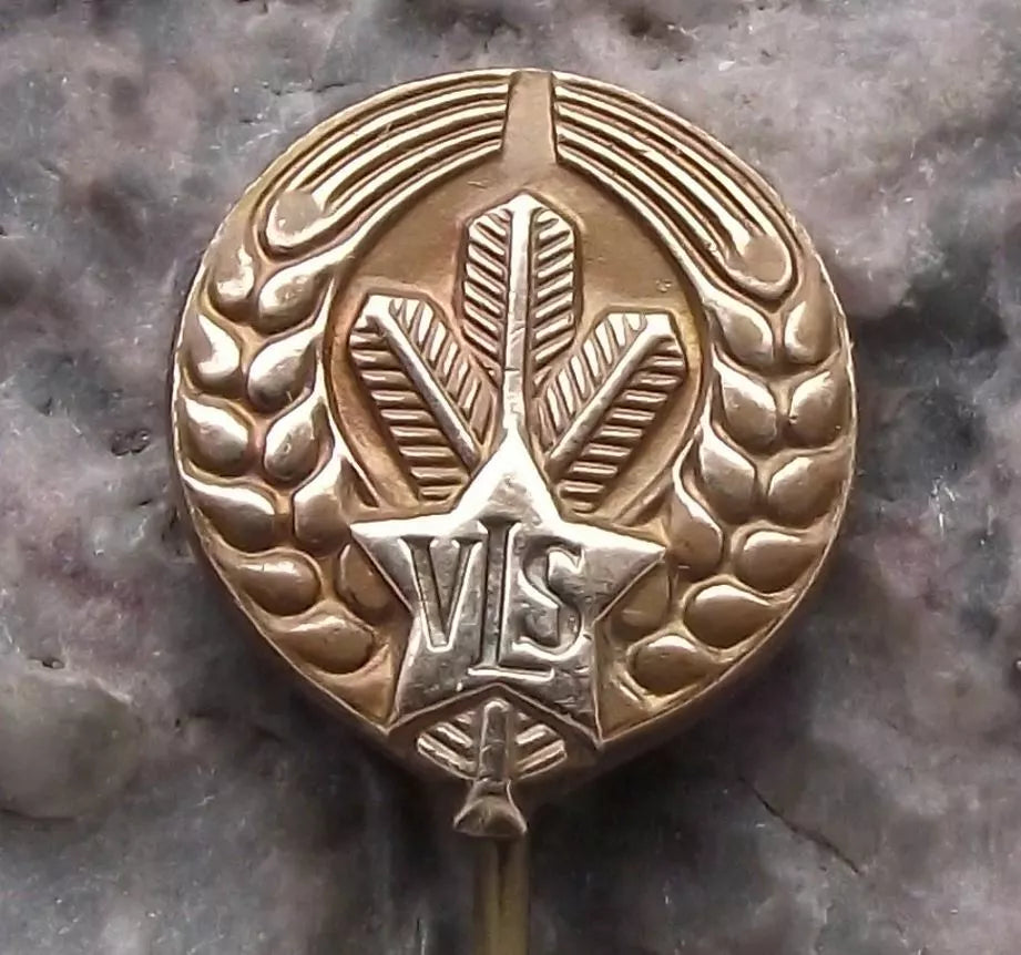 Vintage VLS Military Forestry Commission Forest Hunting Management Pin Badge - Badgecrazy