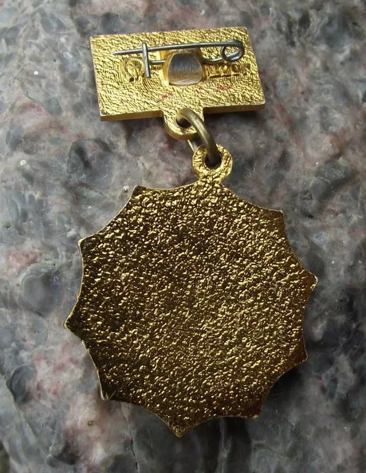 1977 Soviet Union 60th Anniversary Russian October Revolution Medal Pin Badge