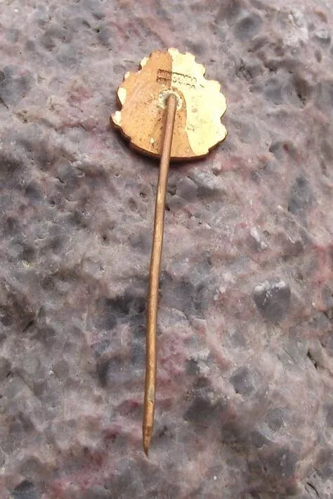 Vintage Czech Trade Union of Sports and Exercise ROH Pin Badge