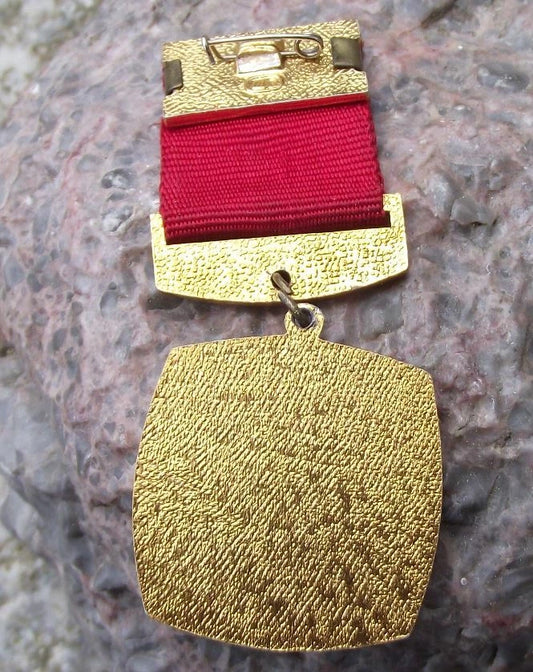 1972 Soviet Union 50th Anniversary Russian Civil War Communist Medal Pin Badge