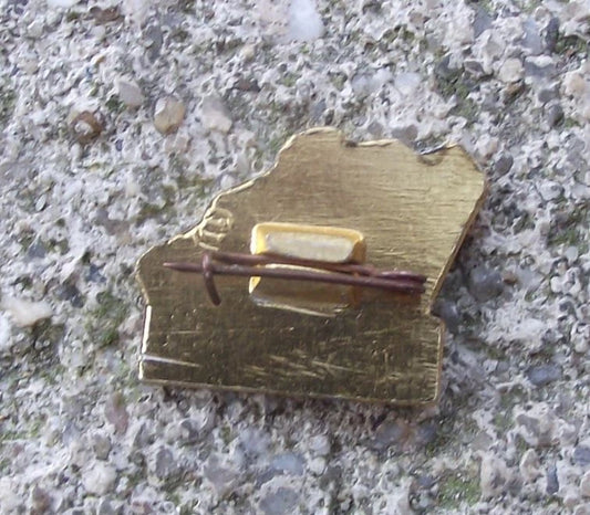 Vintage Abkhazia Black Sea Russian Russia Ocean Vessel Ship Boat Pin Badge - Badgecrazy