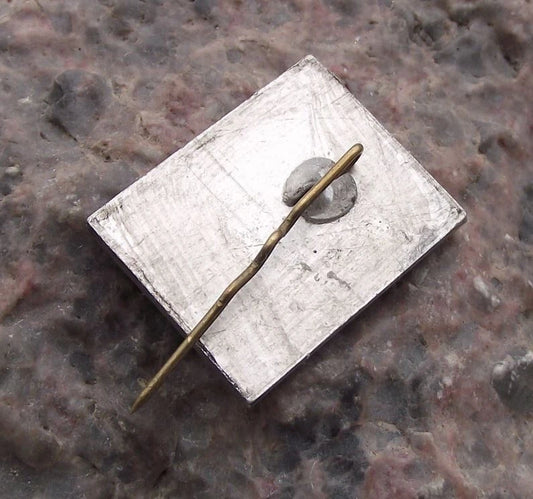 Vintage Baltic Sea Shipping Company Soviet Russian Boat Ship Pin Badge - Badgecrazy