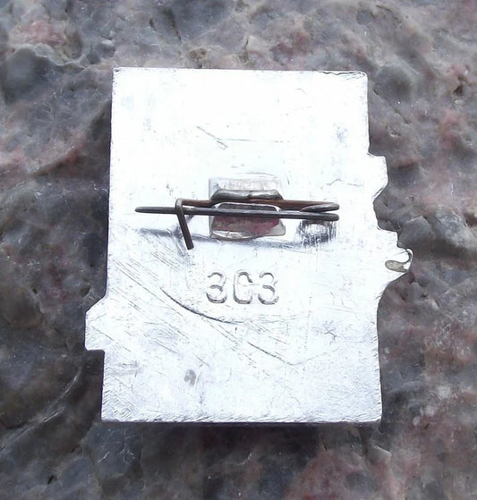 Vintage Moscow to Astrakhan Cruise Ship Boat Volga River Tourism Pin Badge - Badgecrazy