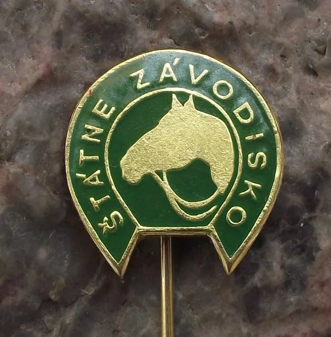 Vintage Bratislava State National Race Course Horseshoe Horse Racing Pin Badge - Badgecrazy