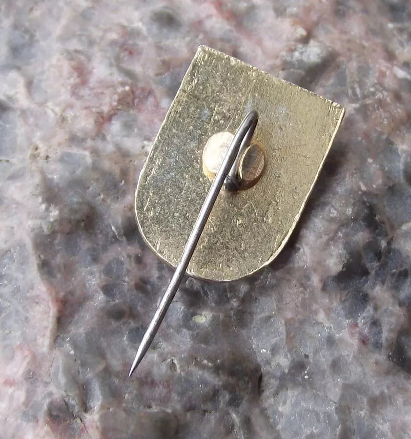 Vintage Bisztynek Polish City Poland Heraldic Coat of Arms Crest Pin Badge - Badgecrazy