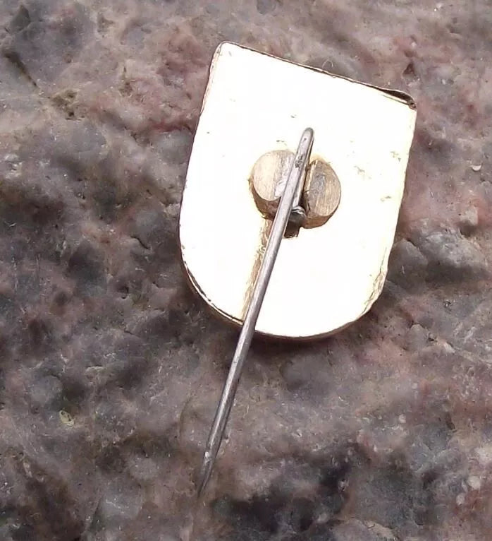 Vintage Pisz Polish City Poland Heraldic Coat of Arms Crest Pin Badge - Badgecrazy