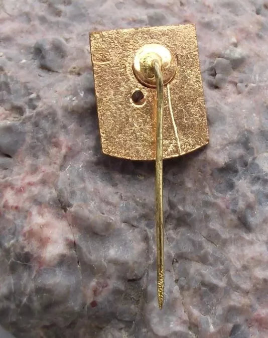 Vintage AGVPS Romanian Hunting Association 3D Stag Deer Members Pin Badge