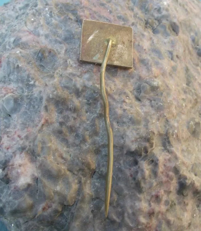 Vintage VLS Military Forestry Agriculture Management Hunting Pine Tree Pin Badge - Badgecrazy