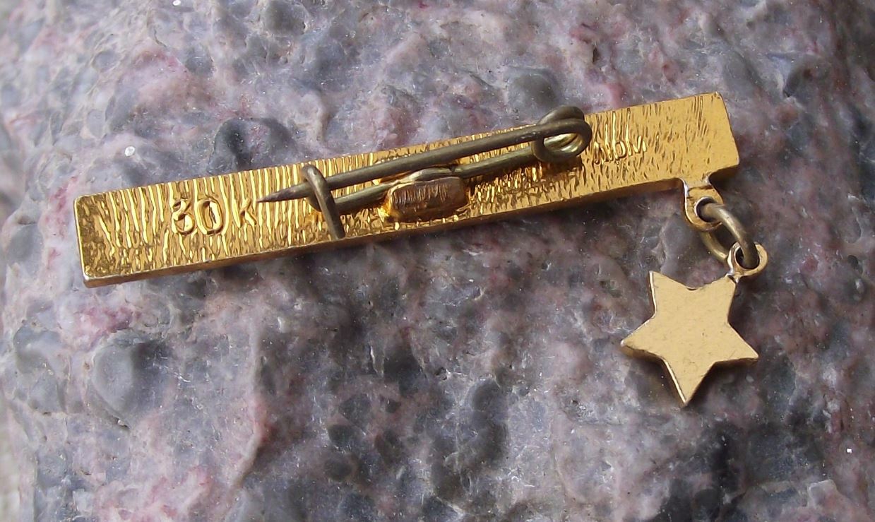 Antique Leningrad Blockade Gold Hanging Star Soviet Union Hero Award Pin Badge - Badgecrazy
