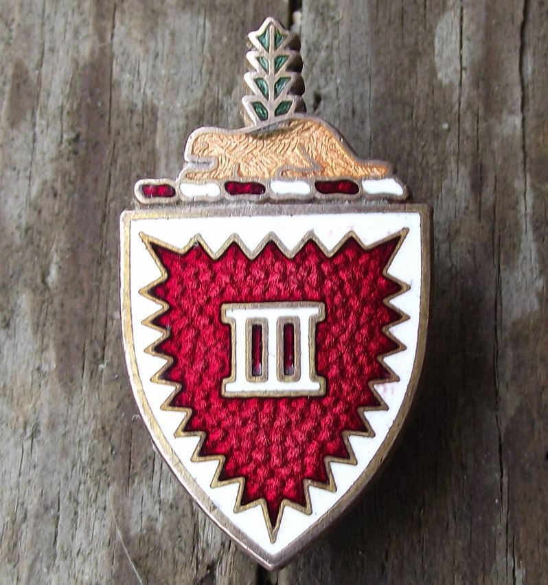 Vintage US Army 3rd Engineer Battalion Unit Beaver Crest Clutchback Pin Badge - Badgecrazy