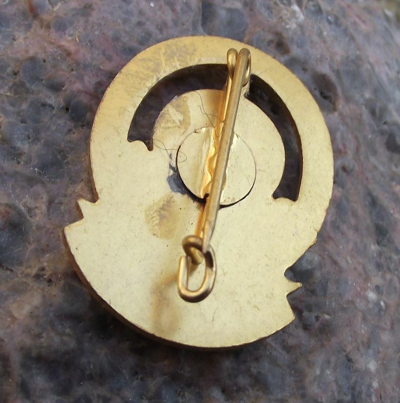 Vintage Oberpfalzer Nordgau Shooting Gun Association Germany Members Pin Badge - Badgecrazy