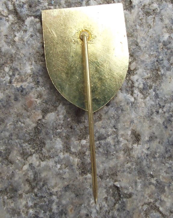 Official TJ Dvur Kralove Czech Republic Football Team Soccer Shield Pin Badge - Badgecrazy