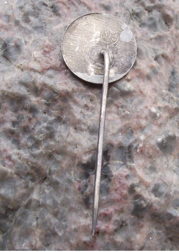 Vintage Bystrice pod Hostynem Czechoslovakia Coat of Arms Heraldry Pin Badge - Badgecrazy