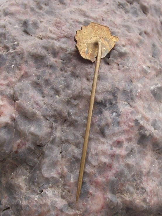 Vintage CSSV CSV Czech Honey Bee Keeping Club Apiary Association Pin Badge - Badgecrazy