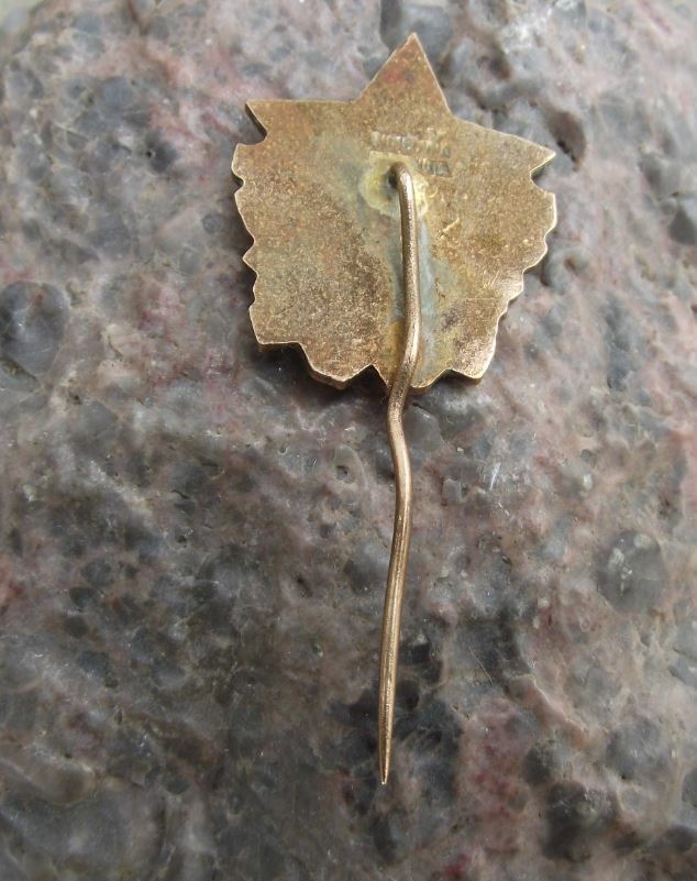 Rare 1940s Country Service Slouzim Vlasti Czech Military Lion Star Pin Badge - Badgecrazy