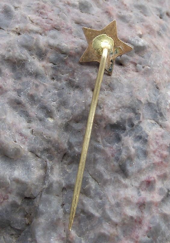 Vintage Hammer & Sickle Communist Red Star Soviet Union Russian Motif Pin Badge - Badgecrazy