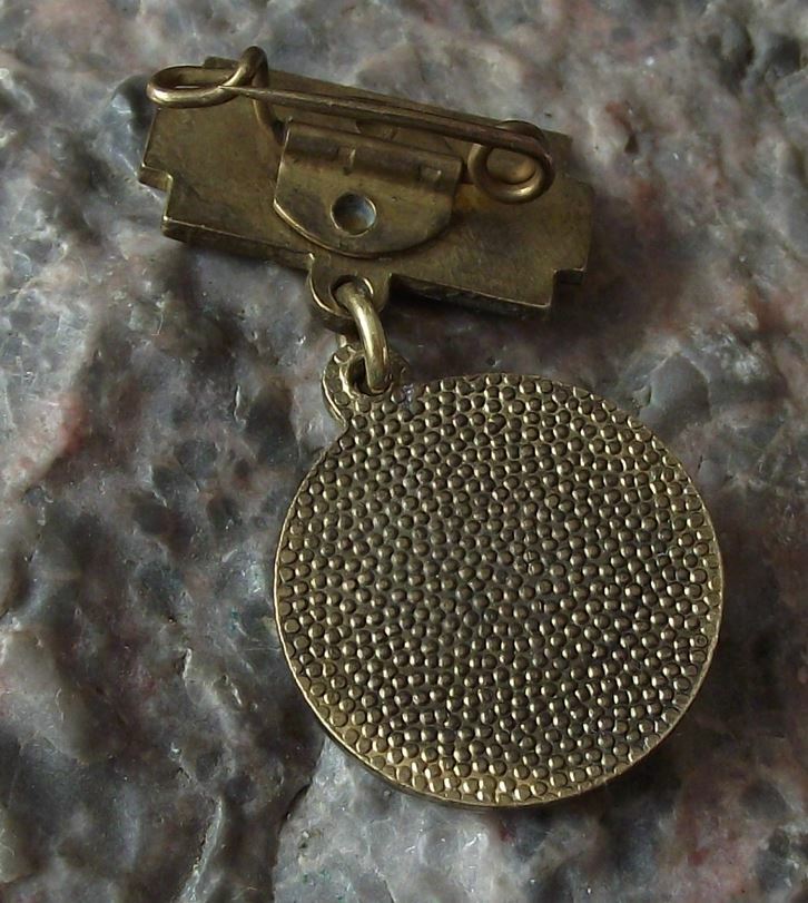 1959 East Germany DDR GDR 10th Anniversary German Commemorative Medal Pin Badge - Badgecrazy